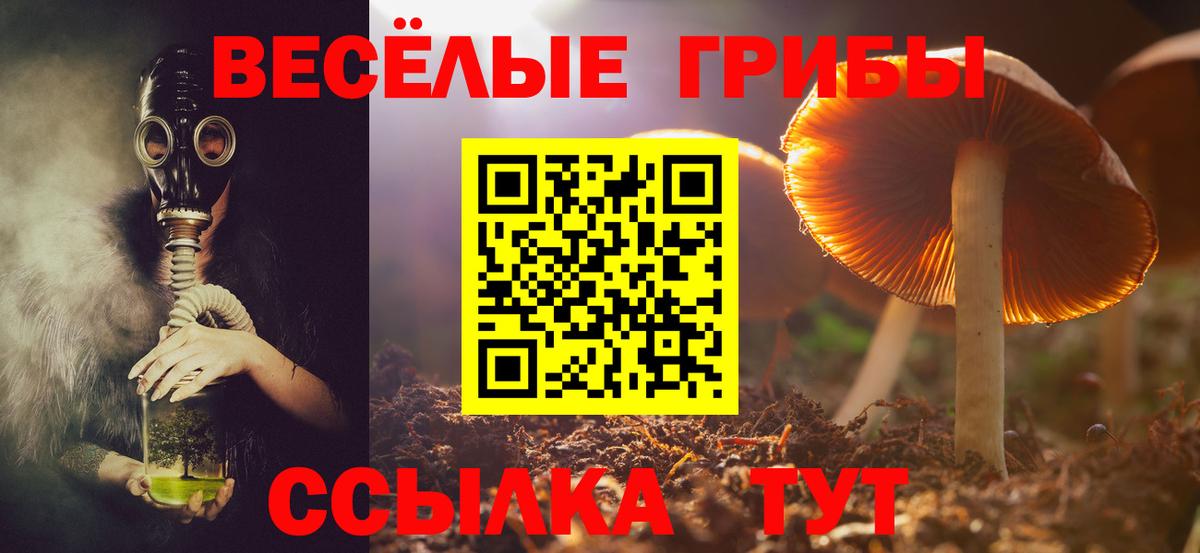 Псилоцибиновые грибы MAGIC MUSHROOMS  Вход с VPN  Галлюциногенные грибы ЛСД  Нерюнгри 